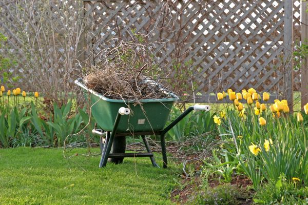 Flower Bed Cleanup Service in Madison