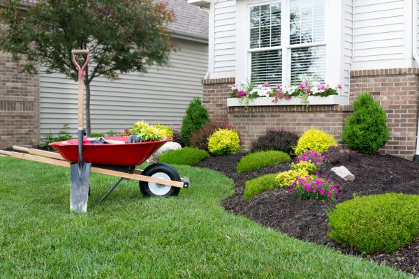 Landscape Maintenance Service in Madison