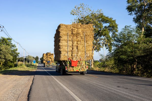 Pine Straw Delivery in Madison