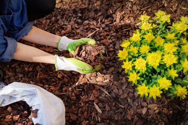 Garden Mulching in Madison