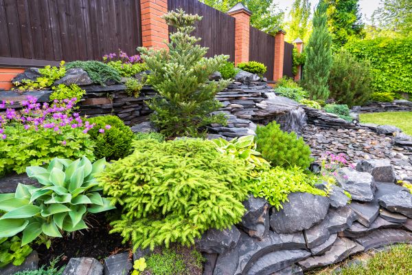 Landscape Remodeling in Madison