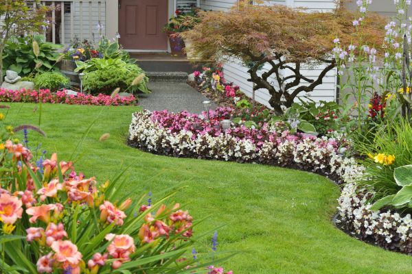 Perennial Landscaping in Madison