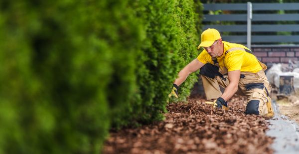 Cypress Mulch Installation in Madison