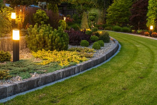 Garden Repair Service in Madison