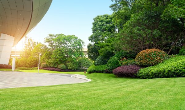 Business Landscape Design Service