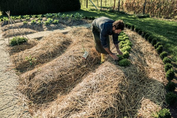 Straw Mulching Service in Madison