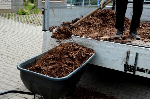 Landscape Mulch Delivery in Madison
