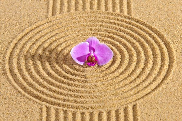 Sand Garden Landscaping in Madison