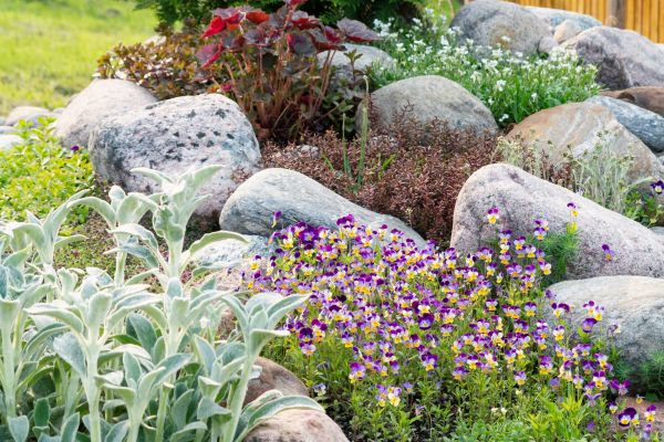 Rock Garden Installation in Madison