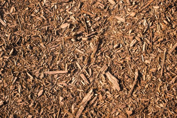 Wood Chips Removal in Madison