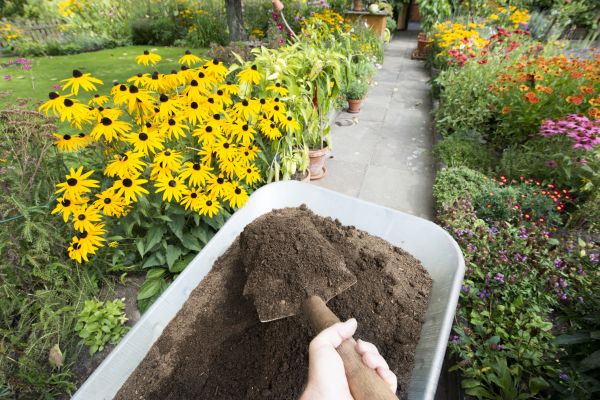 Topsoil Replacement in Madison