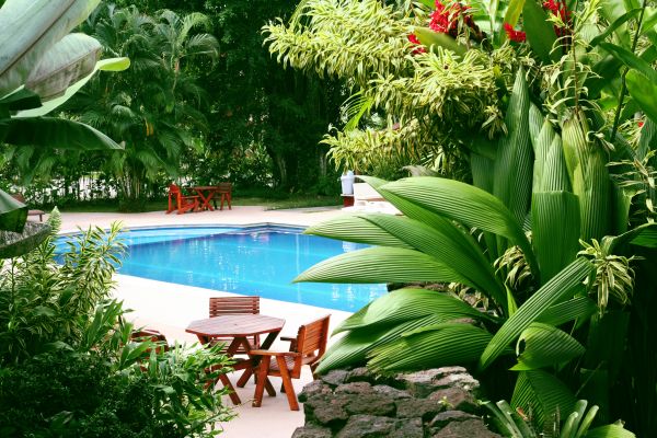 Pool Area Landscaping in Madison