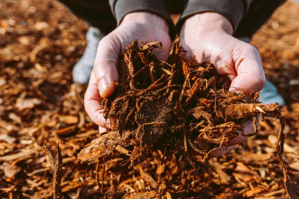 Bark Chips Delivery in Madison