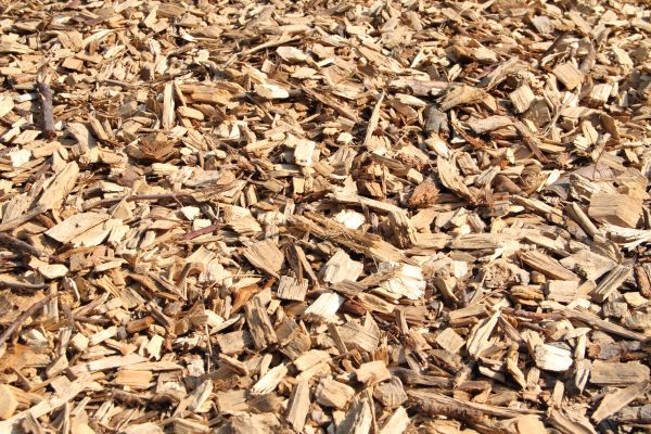 Wood Mulch Delivery in Madison