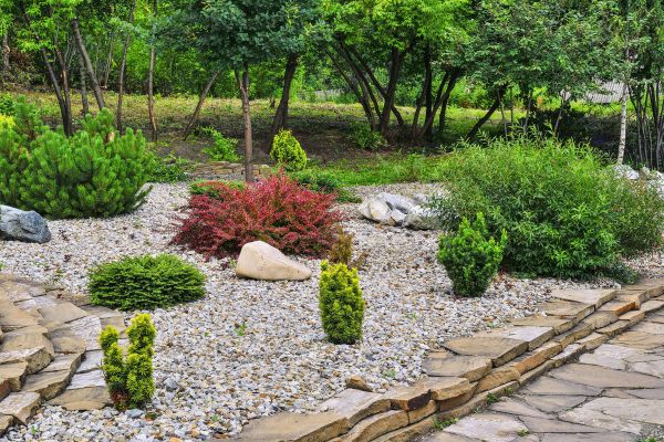 Hardscape Landscaping in Madison