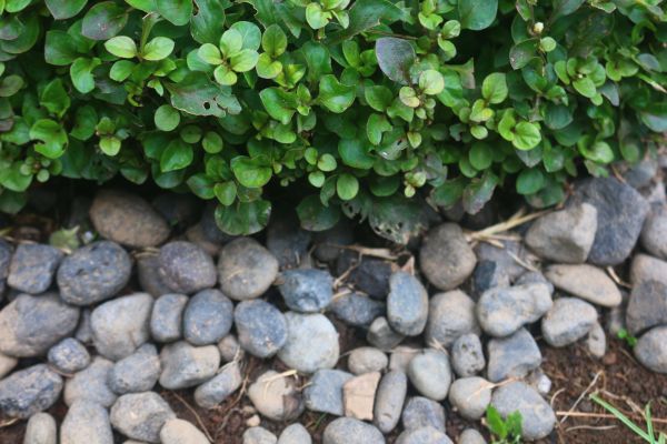 River Stone Installation in Madison