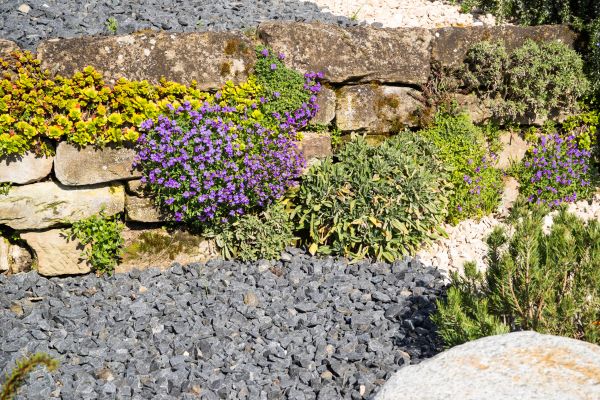 Landscaping Rocks Installation in Madison