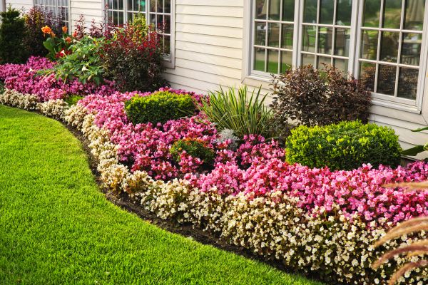 Garden Landscape Design in Madison