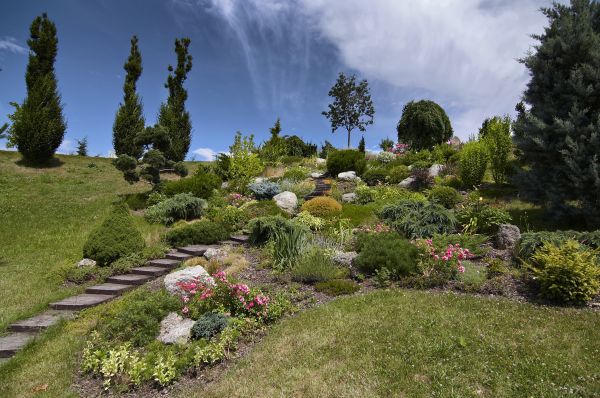 Steep Terrain Landscaping in Madison
