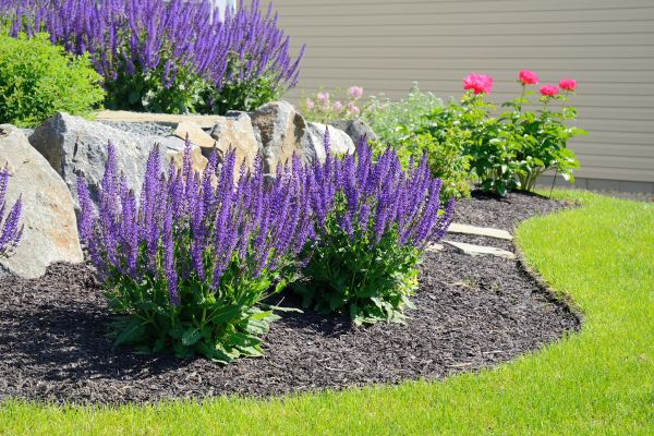 Landscape Planting Service in Madison