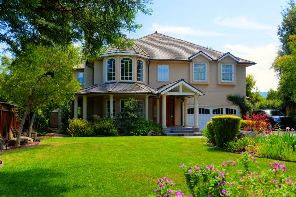 Large Yard Landscaping in Madison