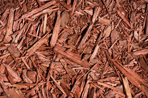 Cedar Mulch Placement