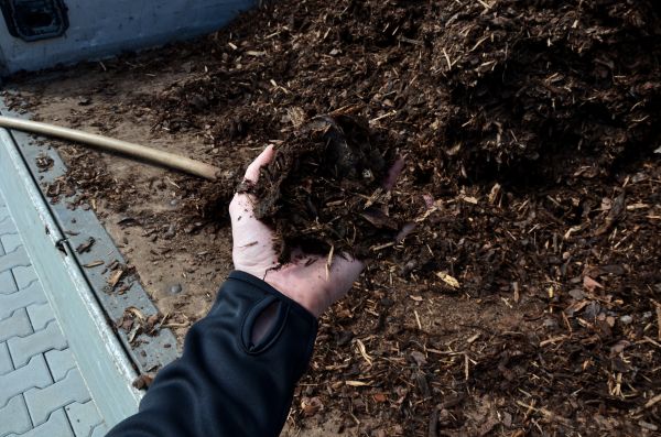 Condo Mulching in Madison