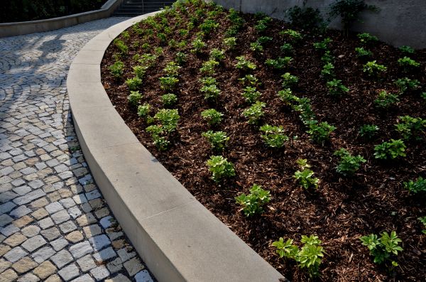 Commercial Mulching in Madison