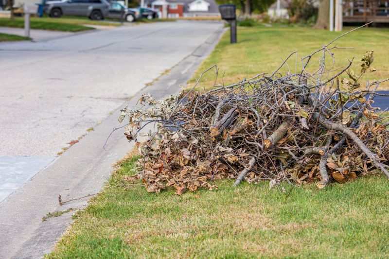 Yard with Piles of Leaves